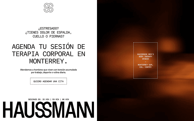 Proyecto Haussmann Studio